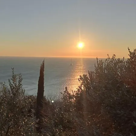 فندق مبيت وإفطار Grace فيلا أوبيتشينا