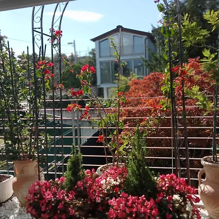 Grace 3* فيلا أوبيتشينا